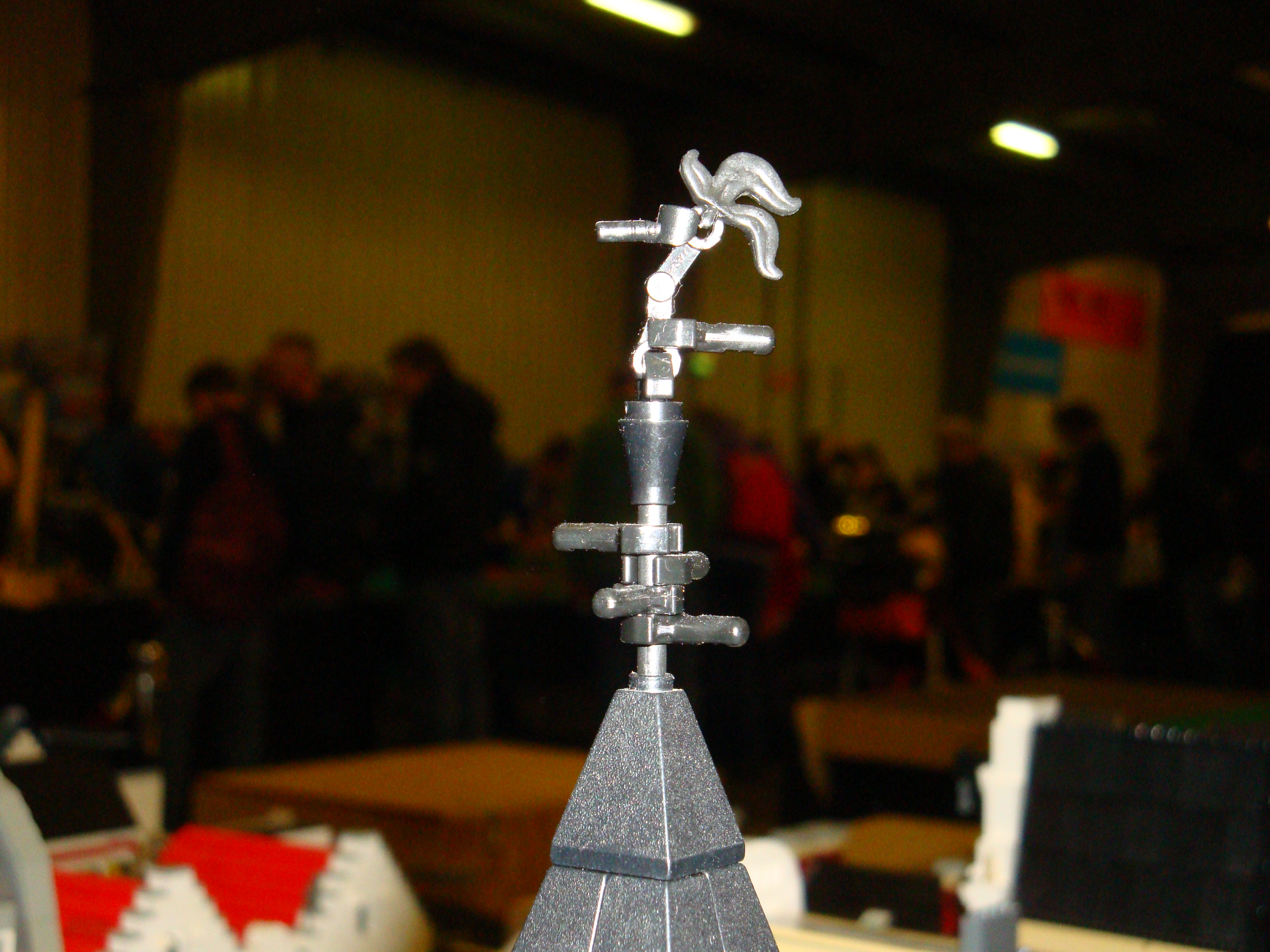 dsc02934.jpg