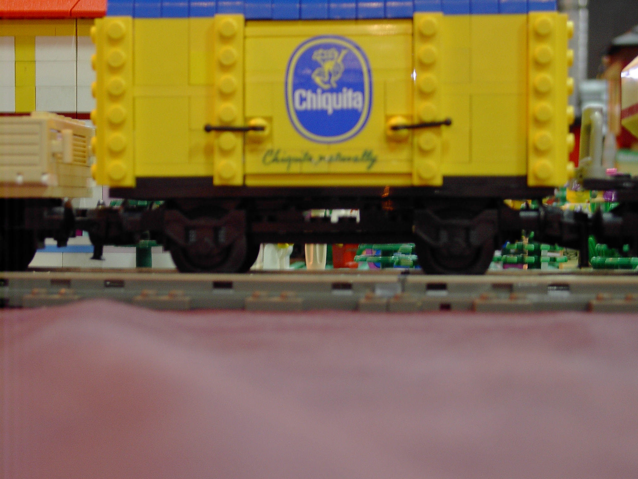 im005570.jpg