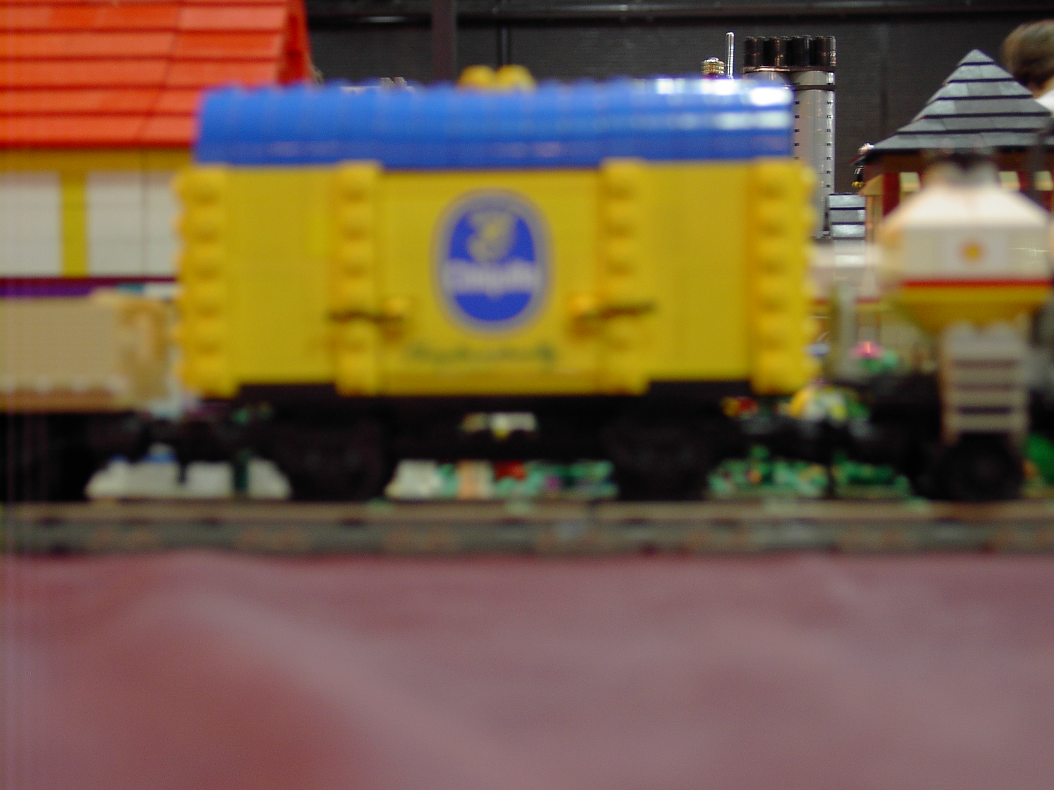 im005571.jpg