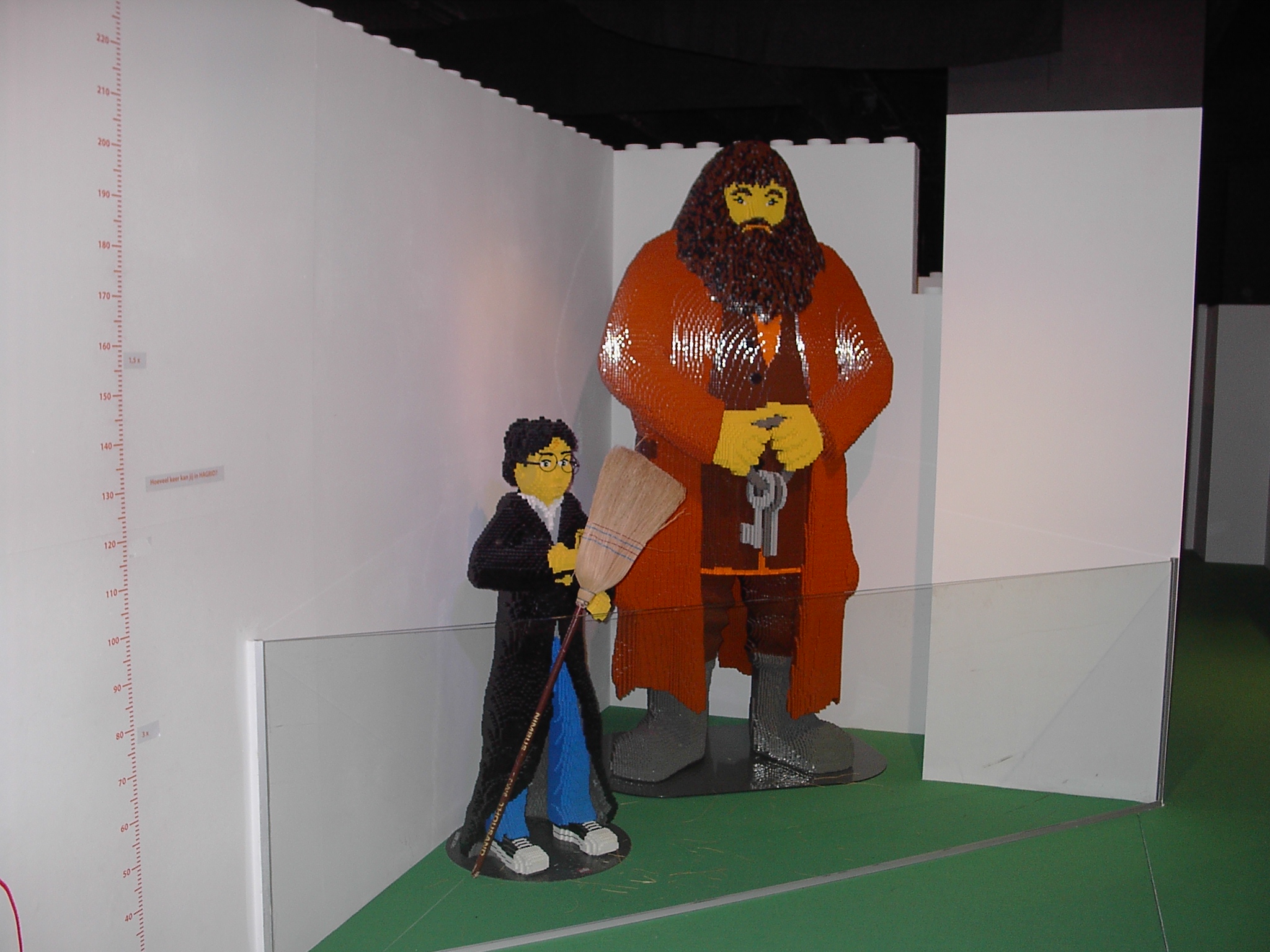 im005772.jpg