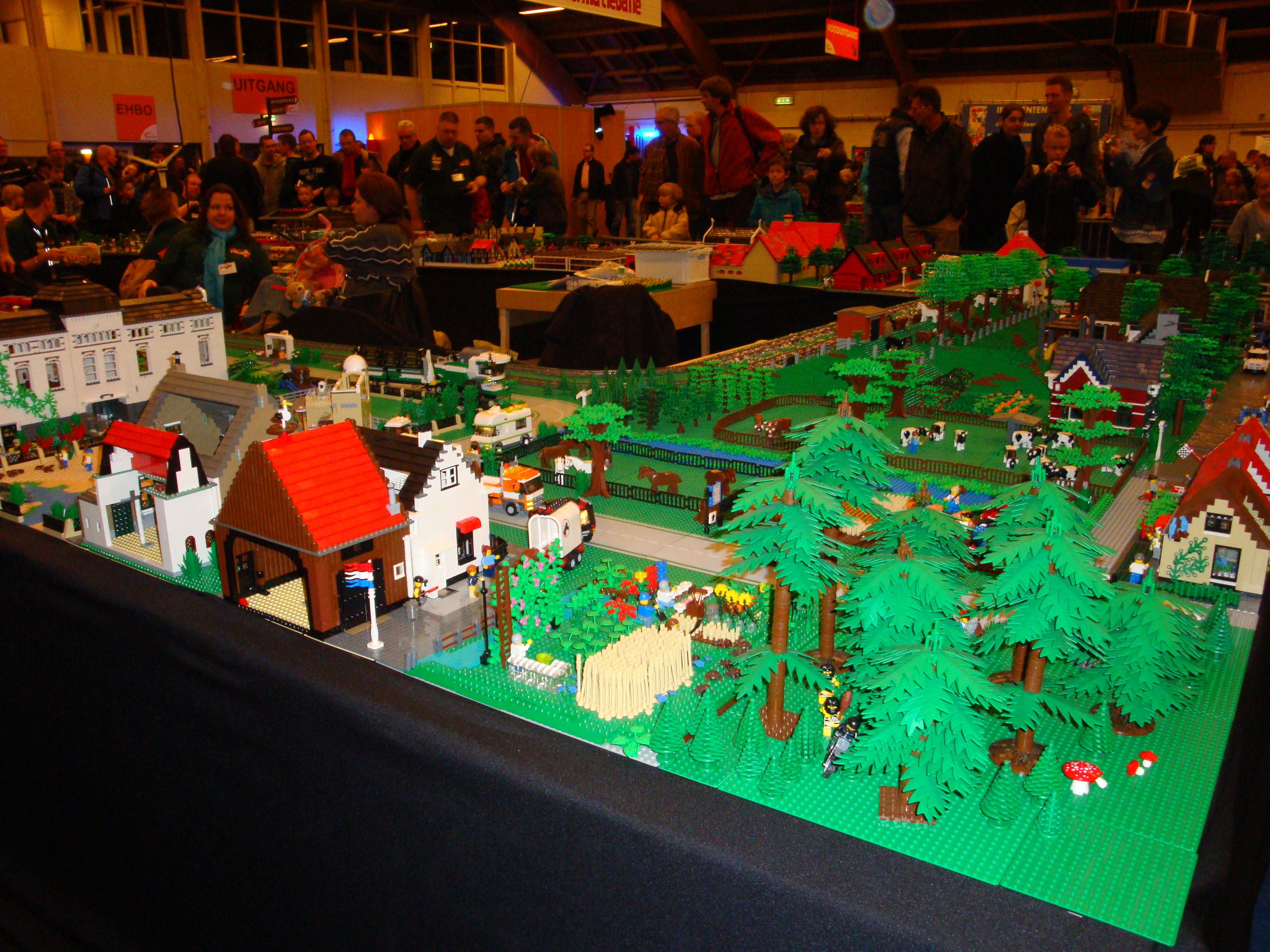 dsc01655.jpg