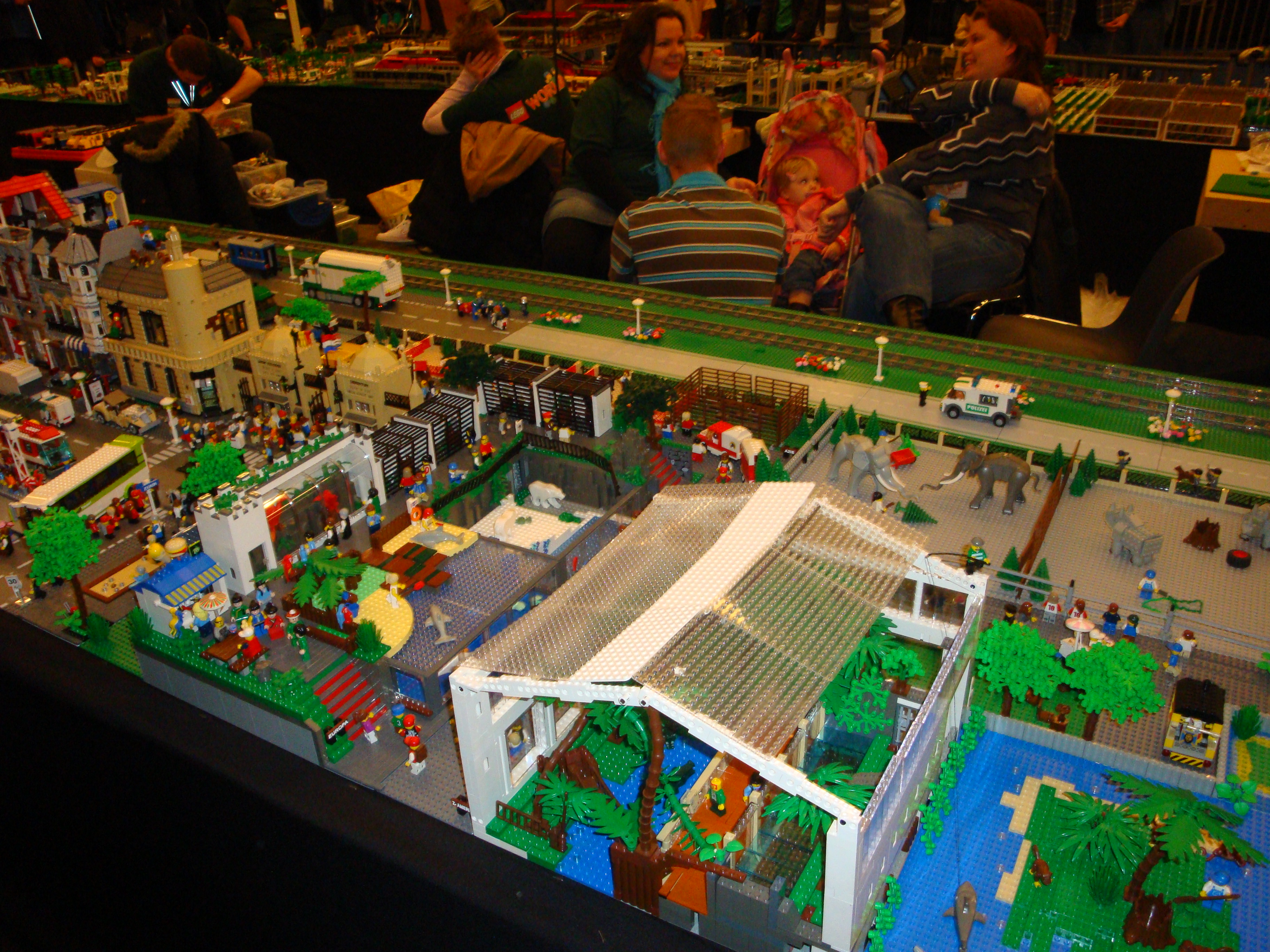dsc01659.jpg