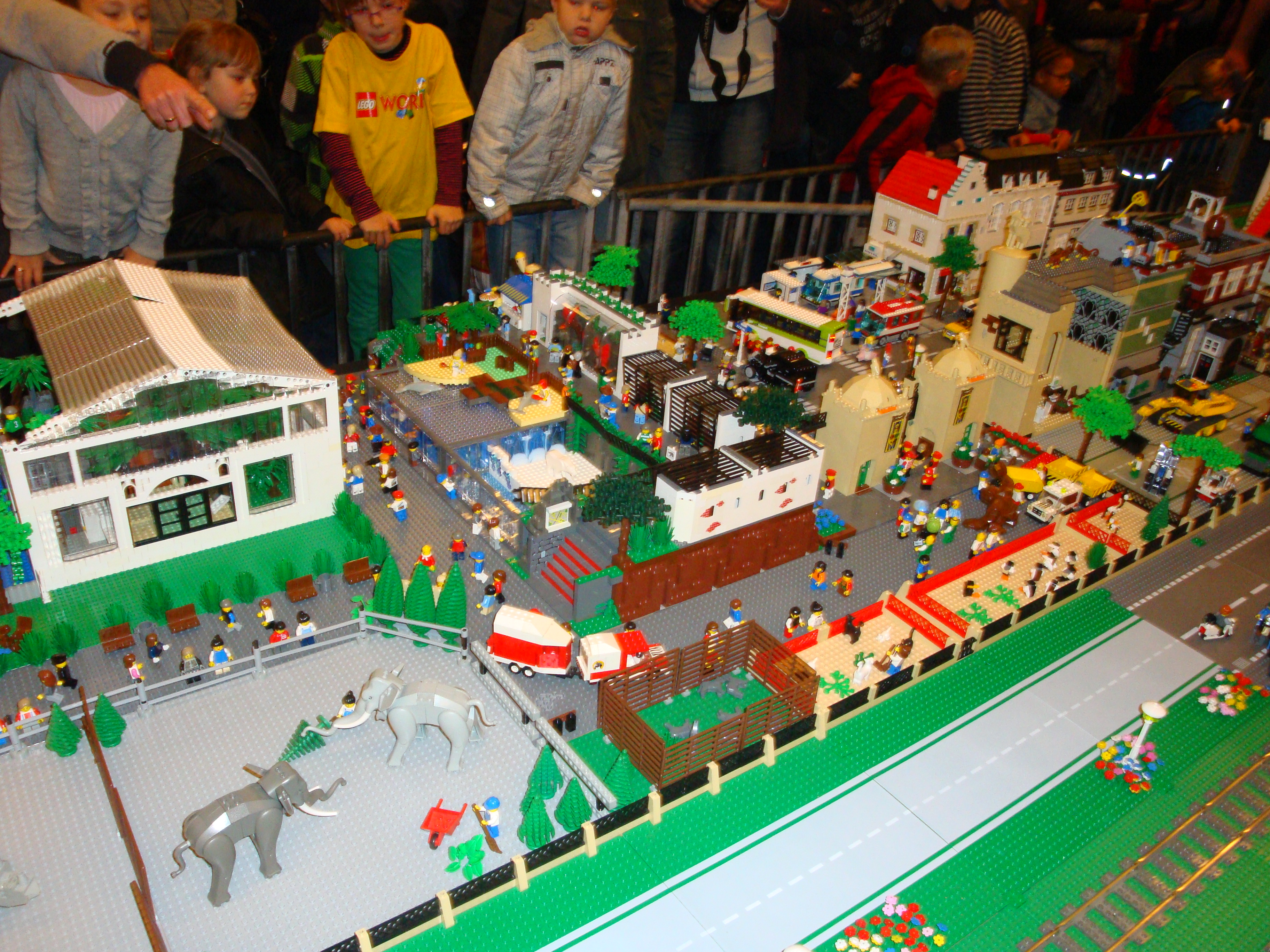 dsc01678.jpg