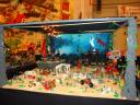 dsc01718.jpg