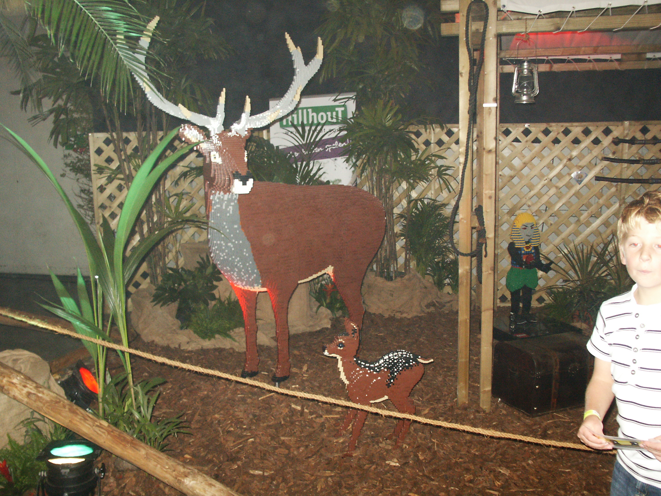 pict0437.jpg