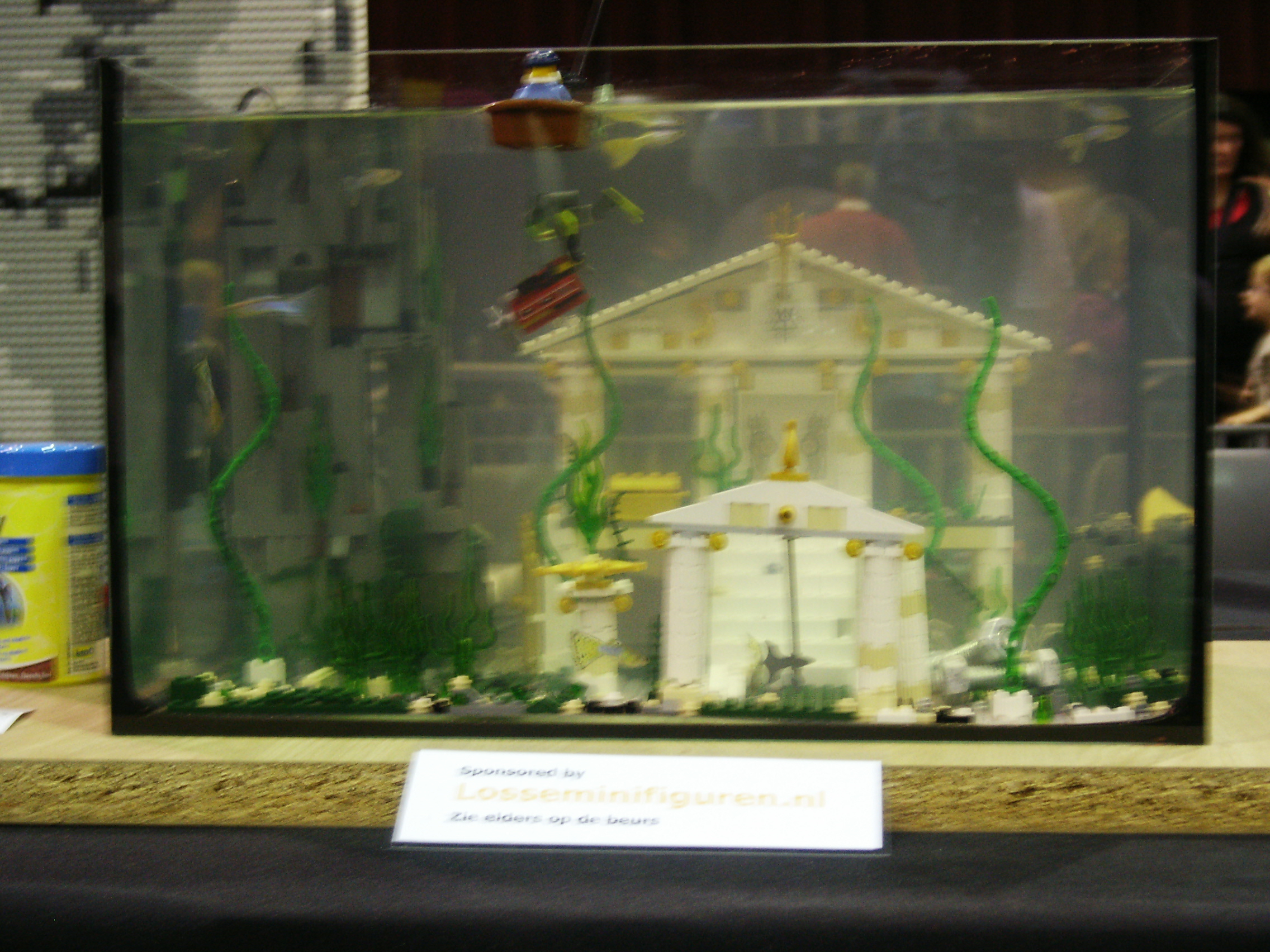 pict0506.jpg
