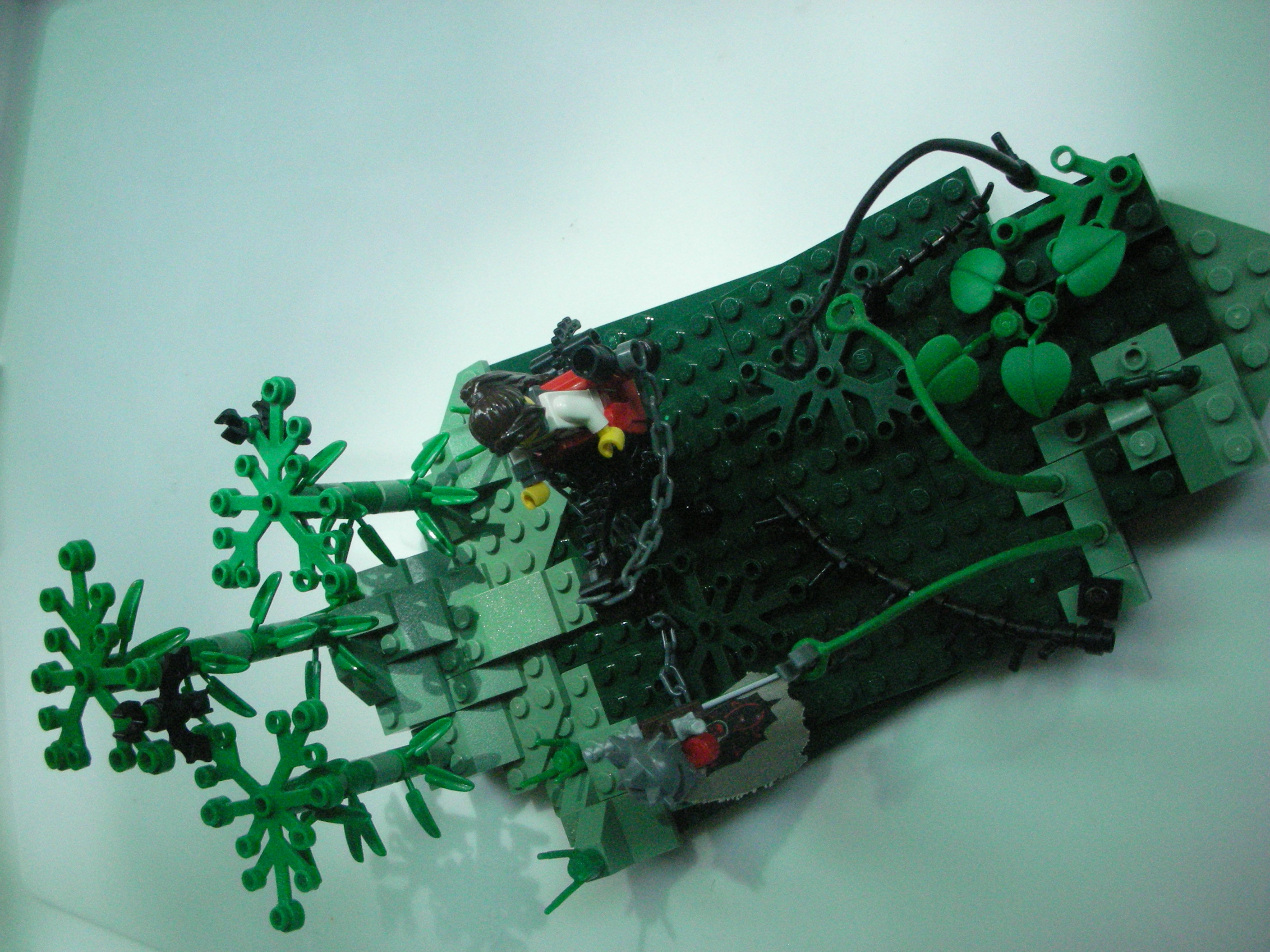 dscn5578.jpg