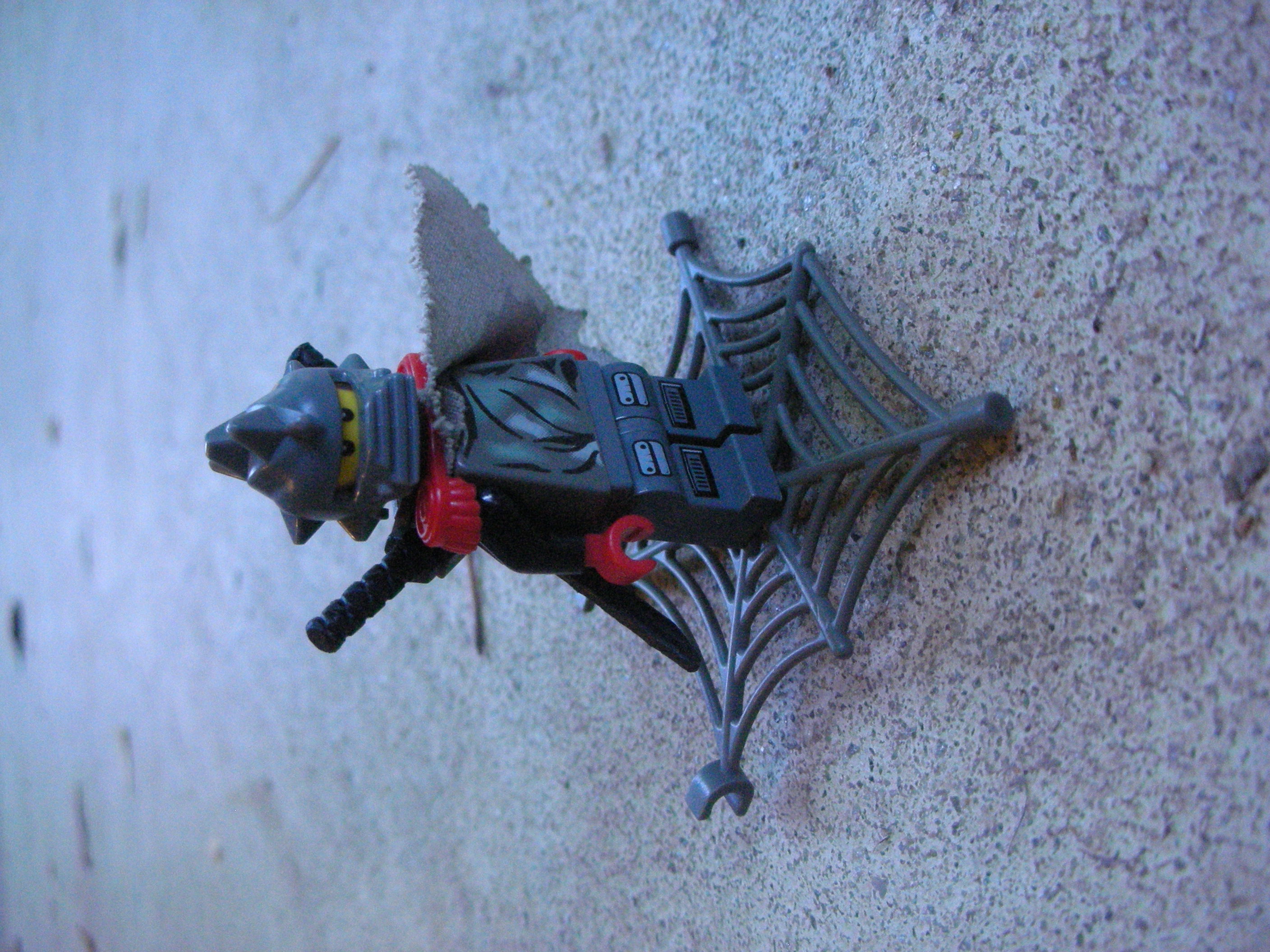 dscn5604.jpg