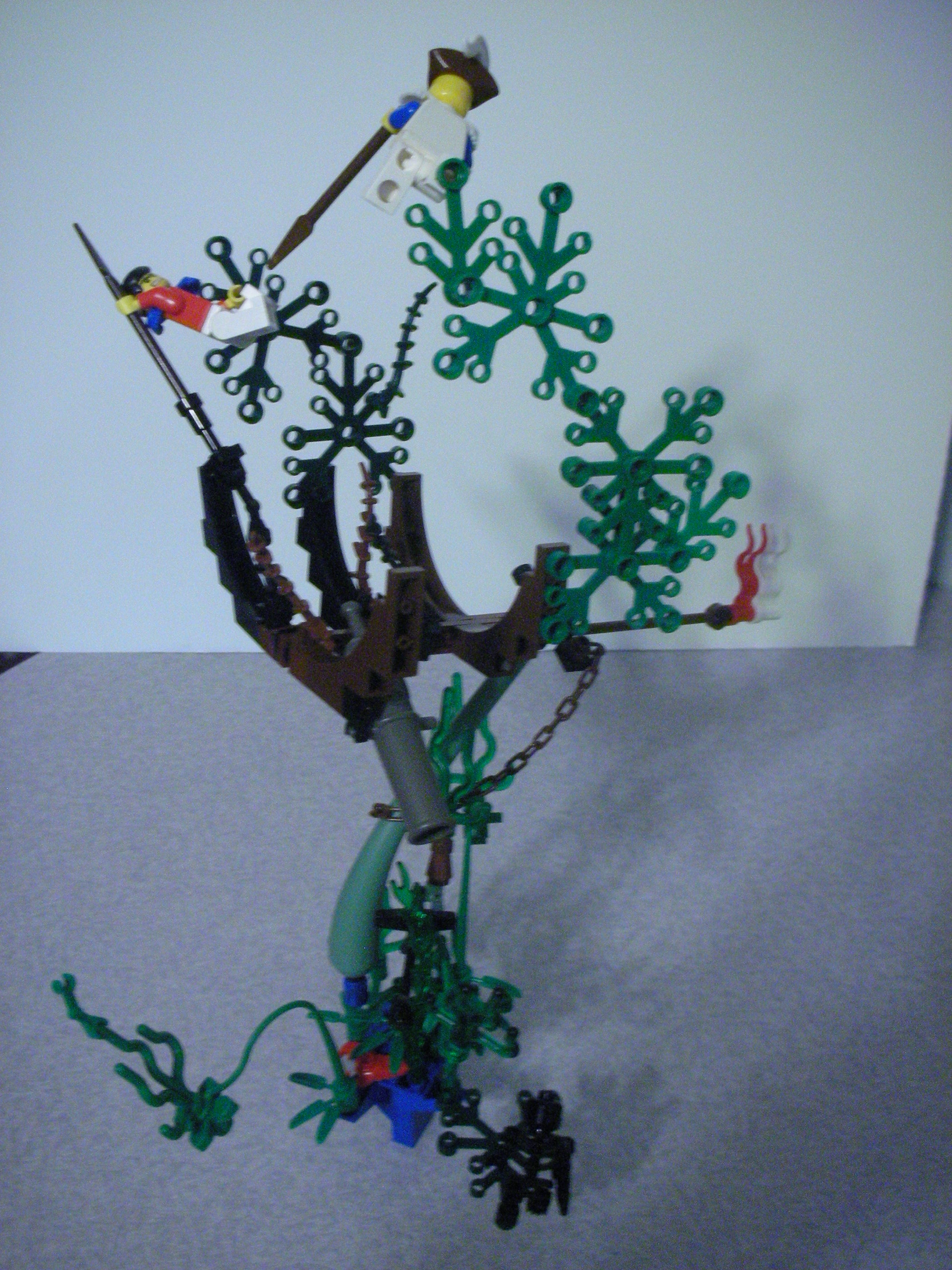dscn5724.jpg
