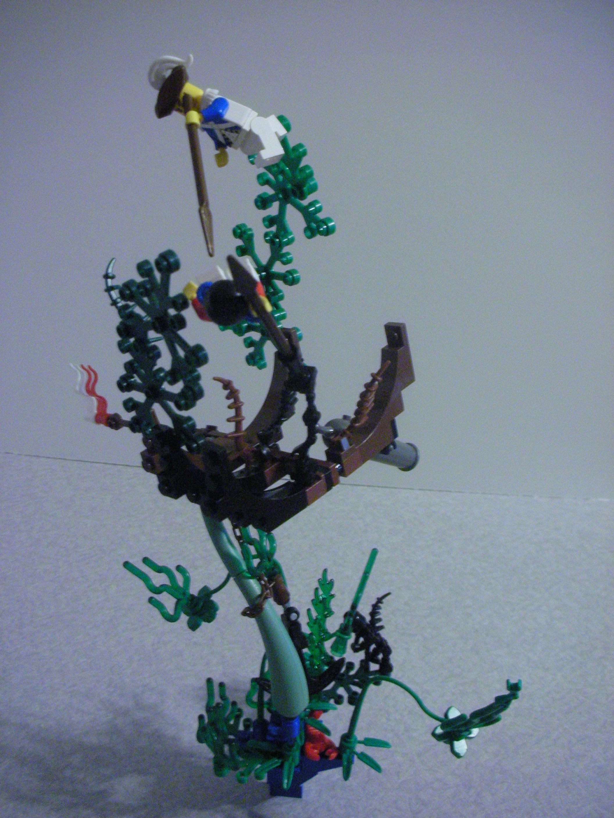 dscn5725.jpg