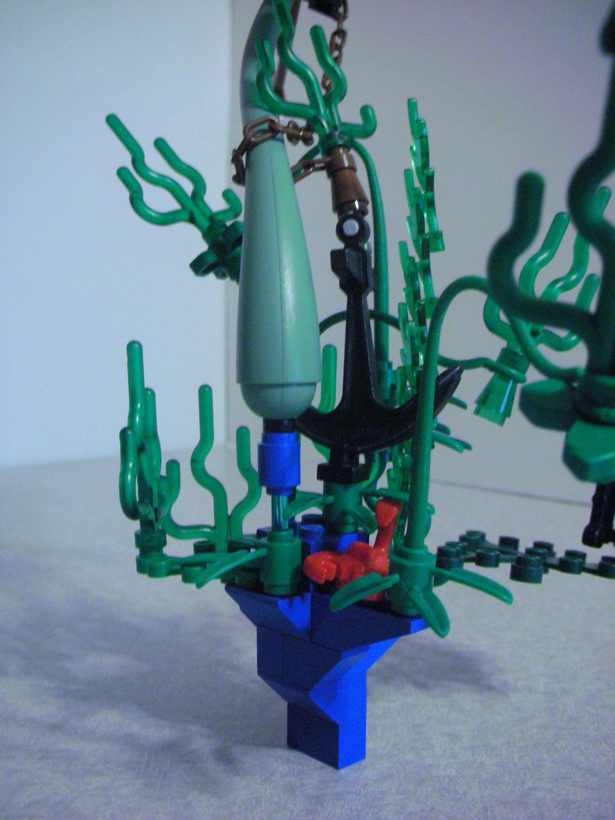 dscn5727.jpg