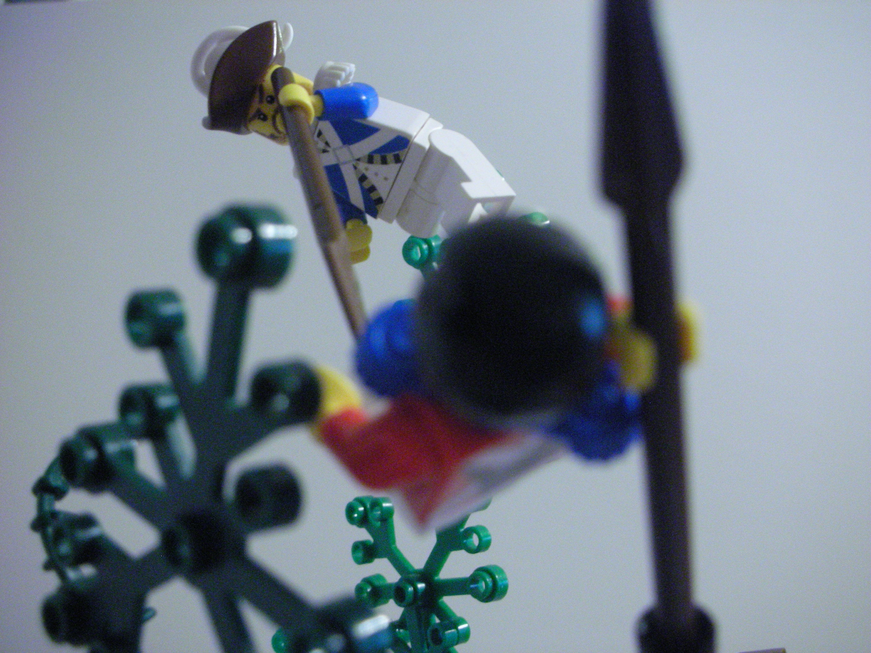 dscn5729.jpg
