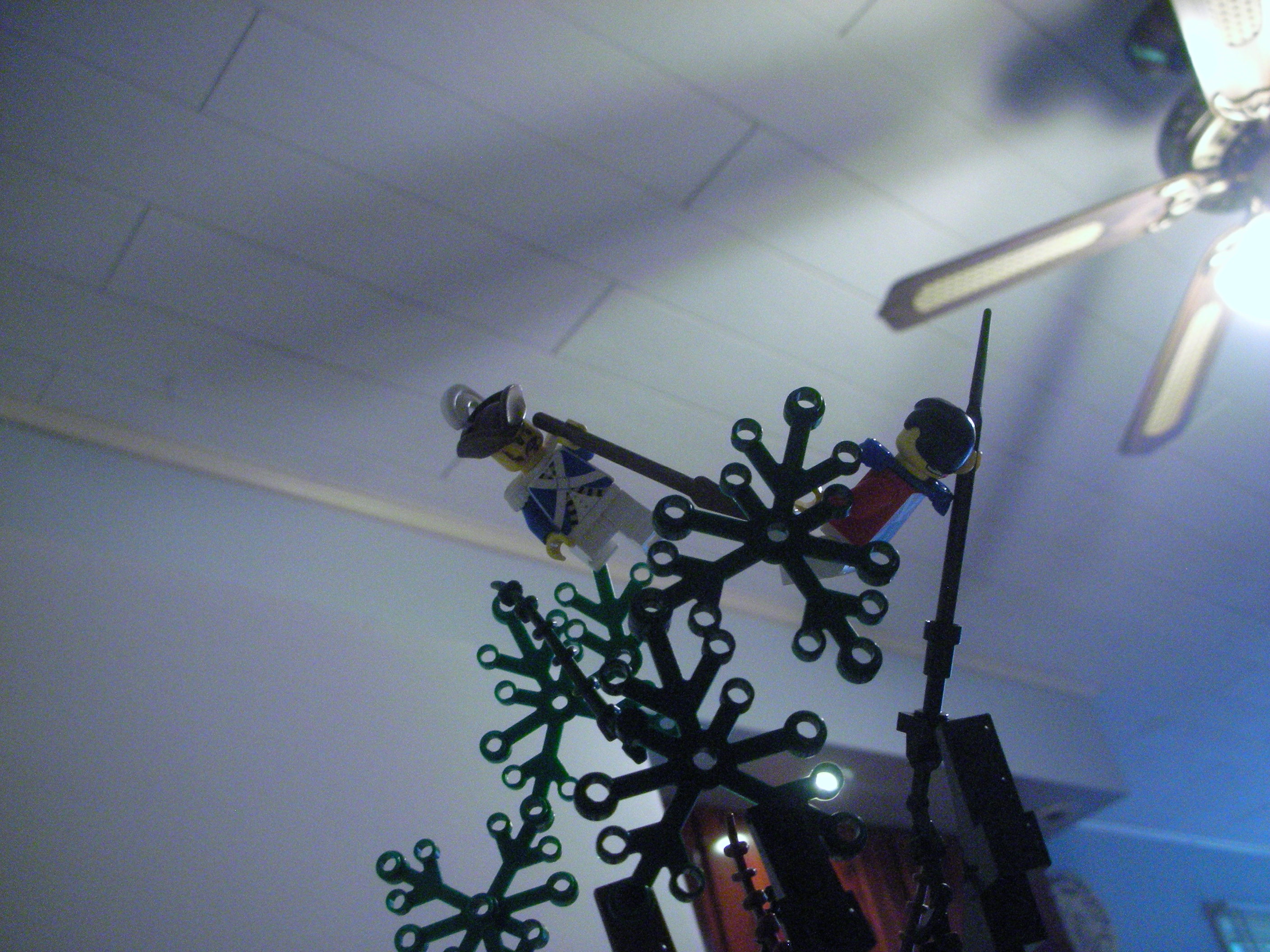dscn5730.jpg