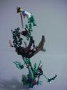 dscn5725.jpg