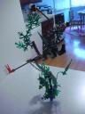 dscn5726.jpg
