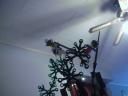 dscn5730.jpg
