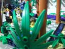 dscn5779.jpg