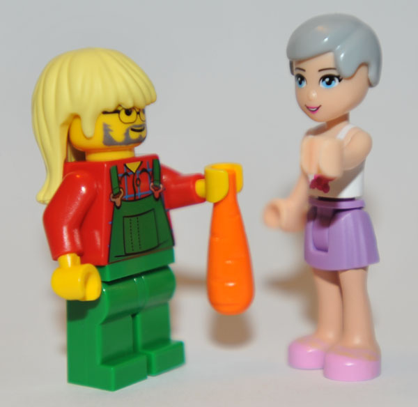friends_and_minifig.jpg