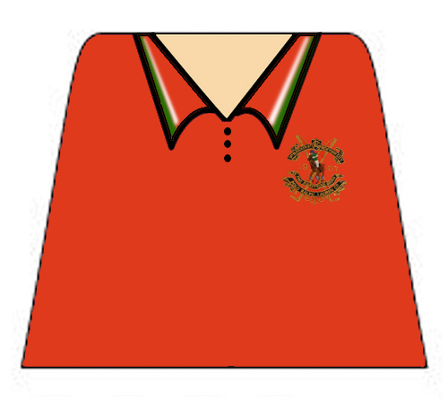 polo-rugby_decal.jpg