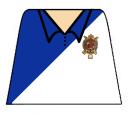 rugby-shirt_decal.jpg