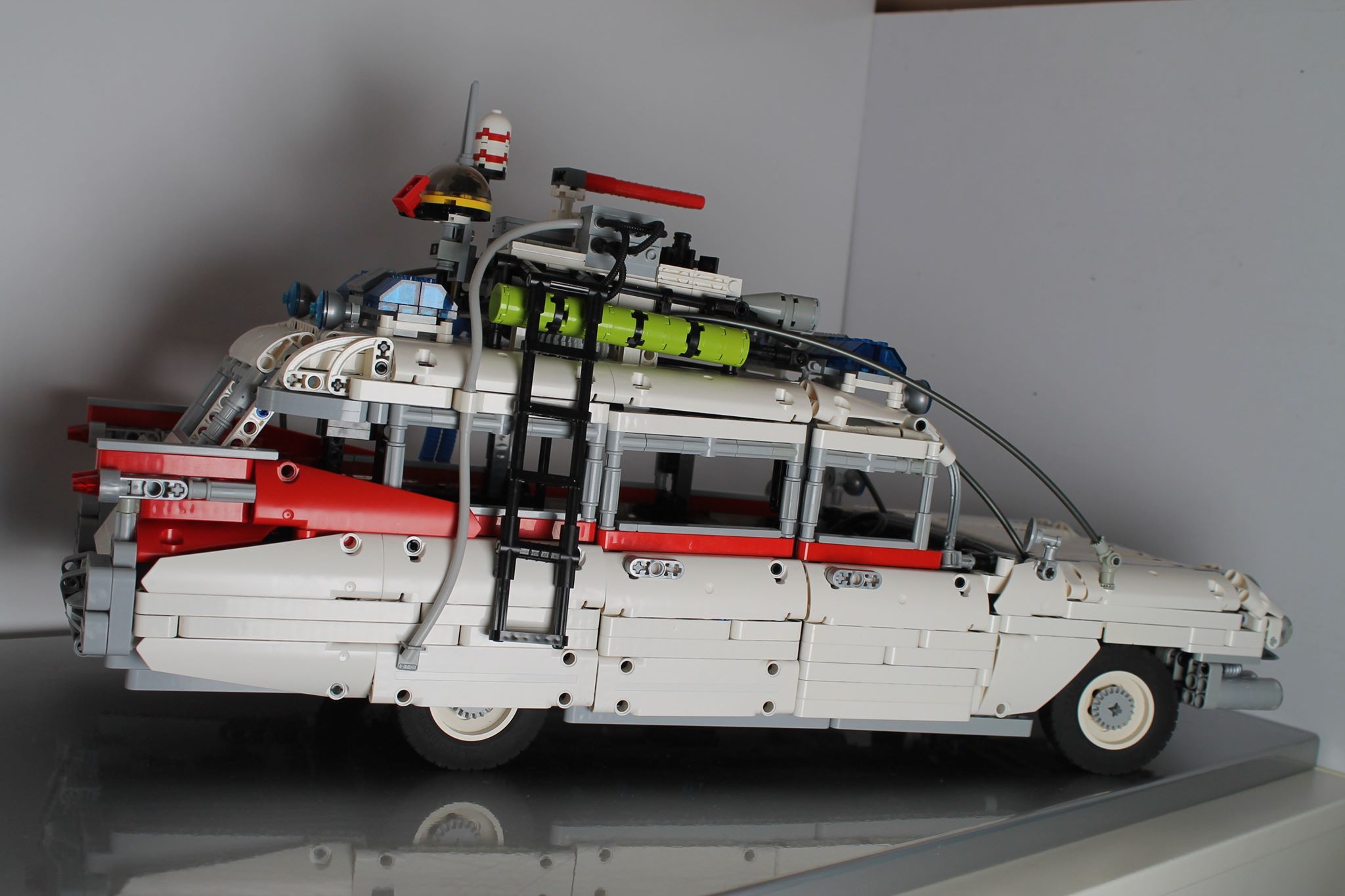 ecto1-4.jpg