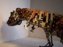 T-rex-part-2