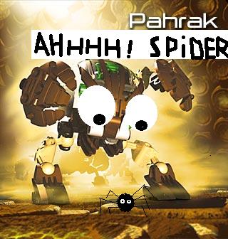 spider.jpg