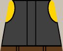 vest_male_back_yel.png