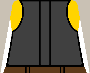vest_fem_back_yel.png