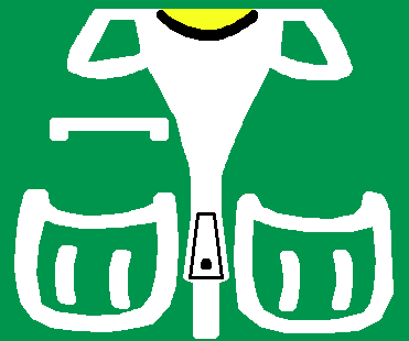 vest_green.png