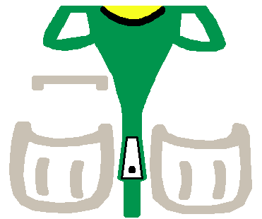 vest_white.png