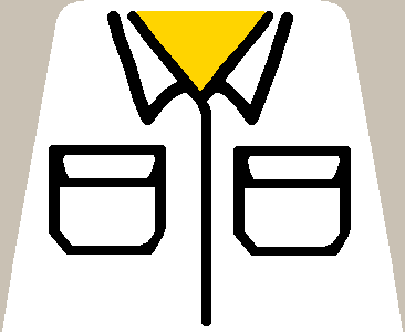 pocketshirt1_orig.png