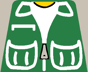vest1_orig.png