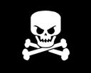 newpirates_6x8flag.png