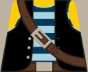 vest2m_blues_yel.png