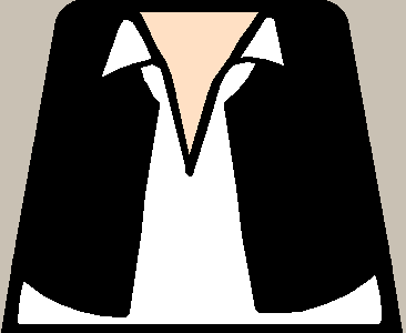 han_vest_fle.png