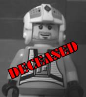 100_6350_avvie_dead.jpg