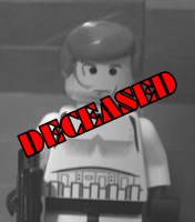 100_6361_avvie_dead.jpg
