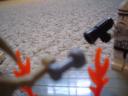 dsc00005.jpg