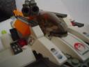 dsc00255.jpg