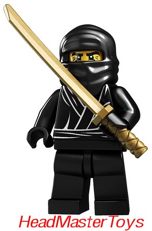 ninja.jpg