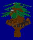 lift_tree.jpg
