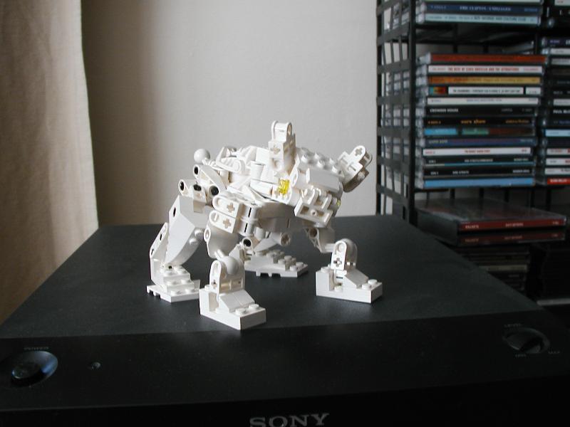 06.jpg