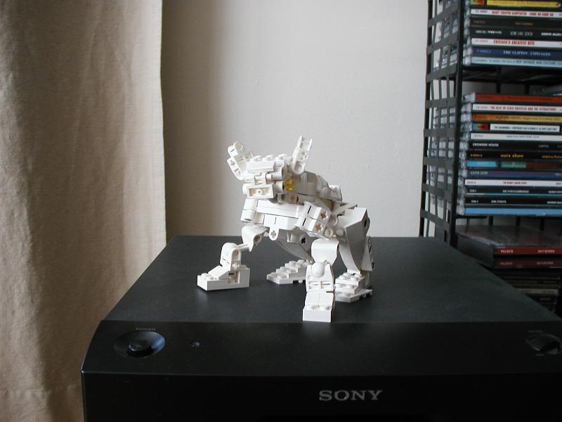 07.jpg