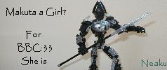 zzbanner.jpg