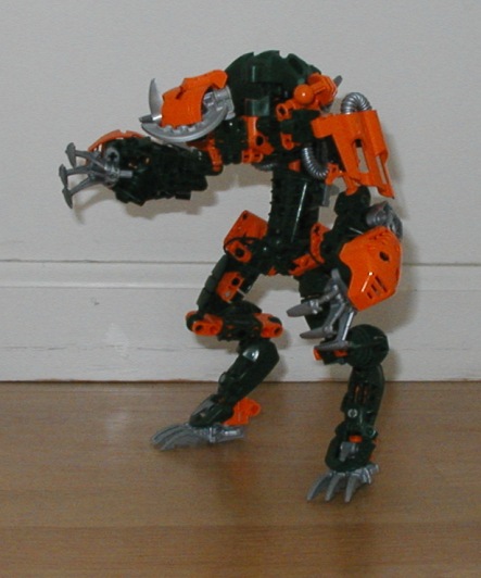 009.jpg