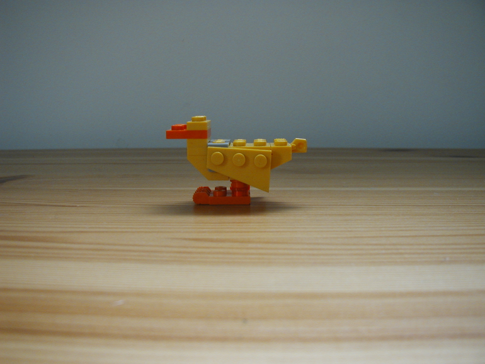 duck_side.jpg