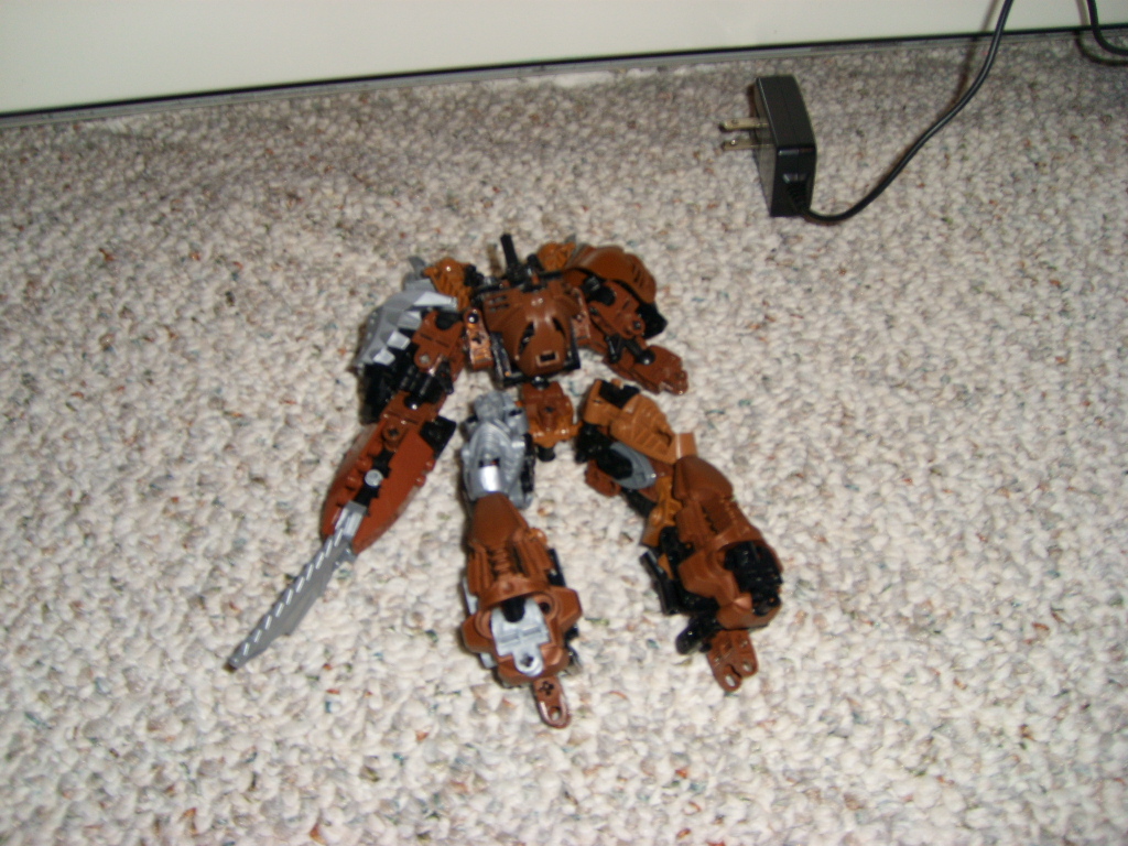 brownhordika.jpg