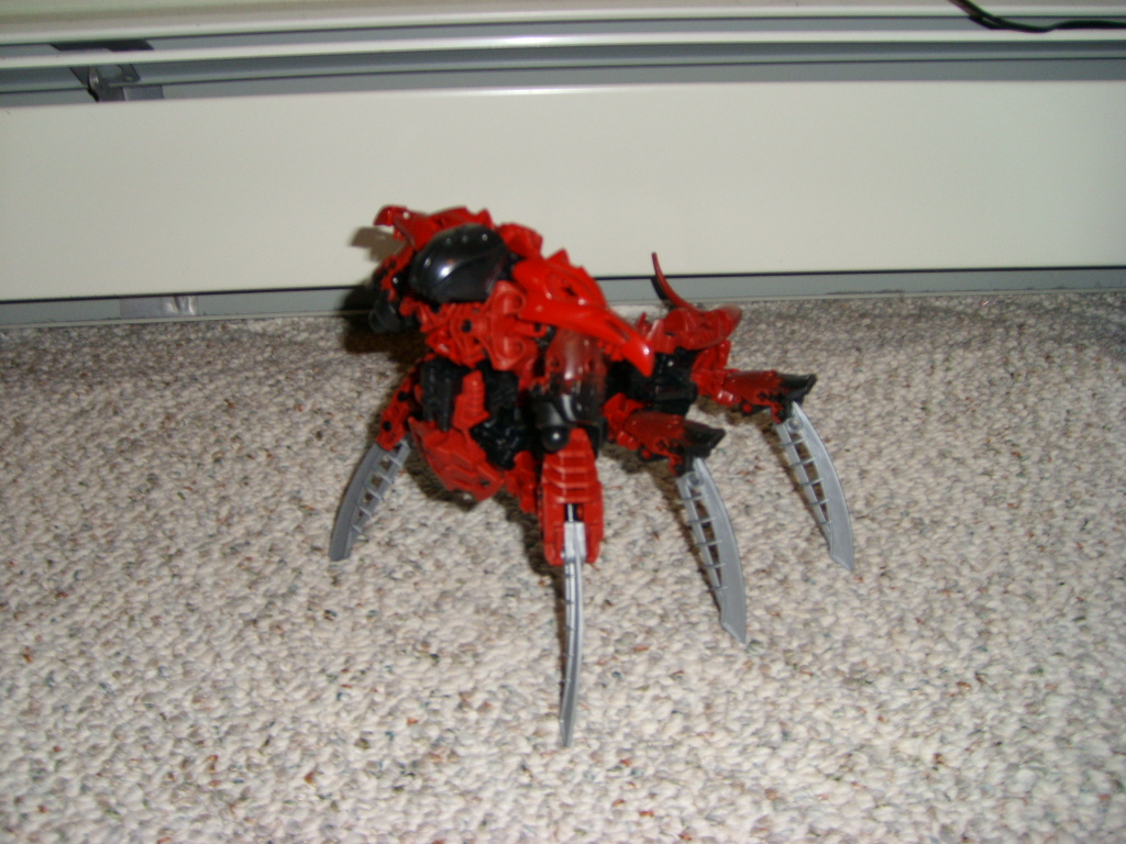 redblack1.jpg