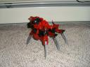 redblack1.jpg